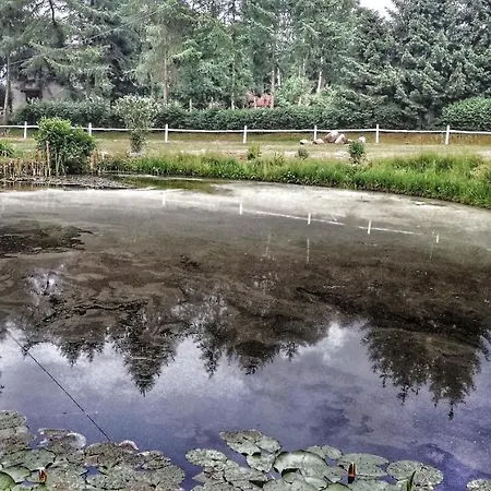 Campingowy *